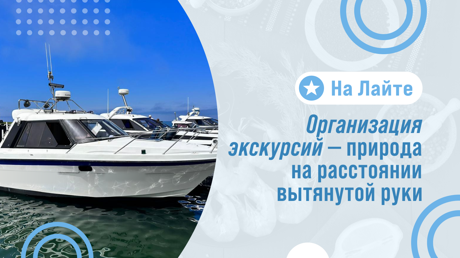 Увлекательные морские экскурсии и рыбалка